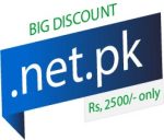 .net.pk domain buy